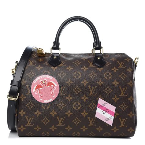 louis vuitton my world tour speedy|Louis Vuitton handbags review.